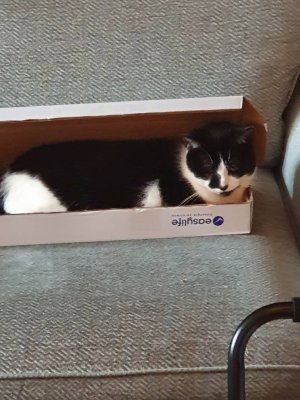 20200825_163251.jpeg