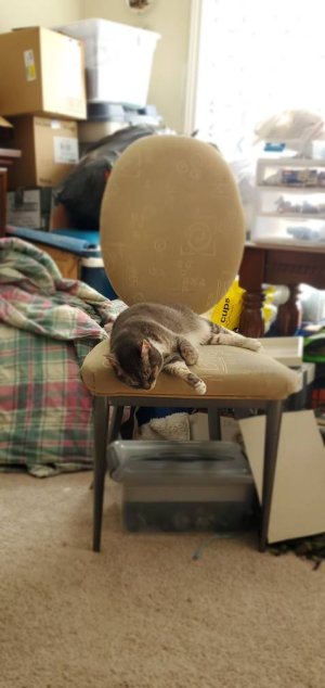 20200705_182900.jpeg