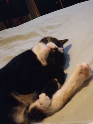 20200829_001505.jpeg