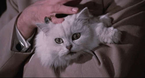 rsgnatB1Livew.gif