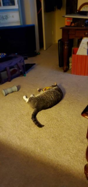 20200711_111428.jpeg