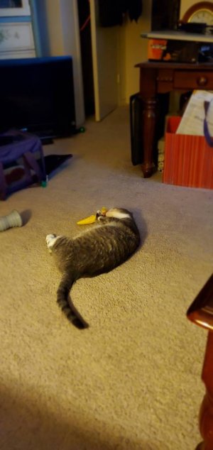 20200711_111329.jpeg