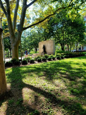 20200923_152541.jpg