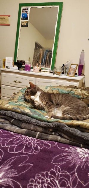 20200923_223135.jpeg