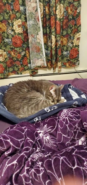 20200831_192523.jpeg