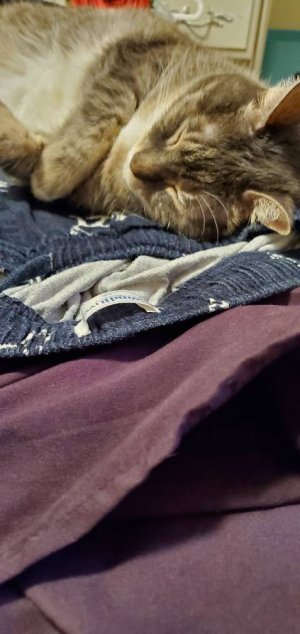 20200831_193256.jpeg