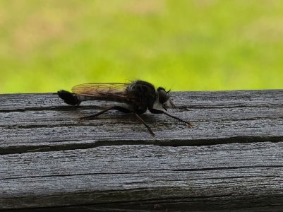 20200713_144800.jpg