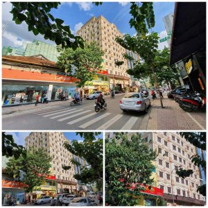 4750830_collage-copy.jpg