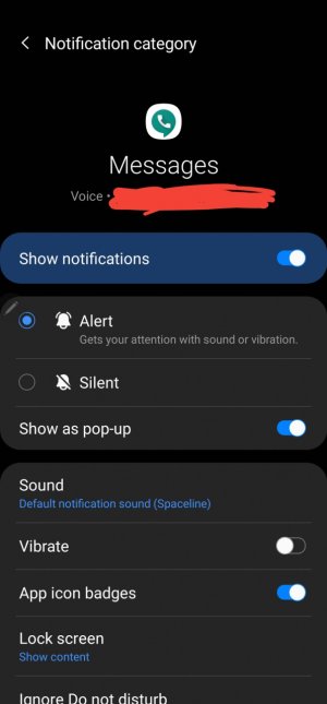 Screenshot_20200902-213721_Settings.jpg