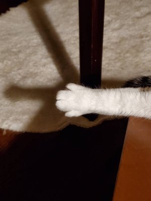 20200926_200220.jpeg