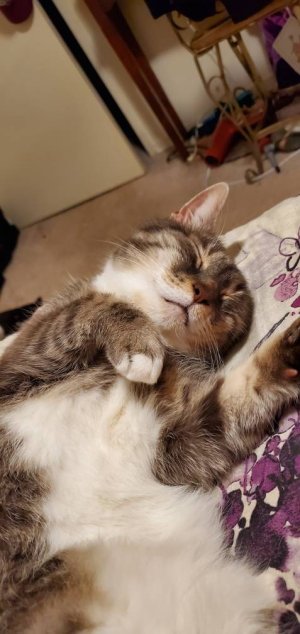 20200715_201823.jpeg