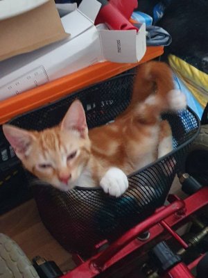 20200928_160219.jpeg