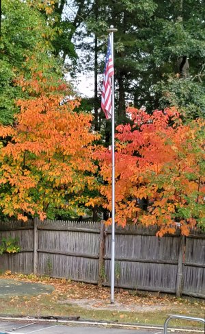 IMG_20200928_184206.jpg