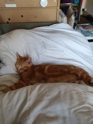 20200929_171304.jpeg