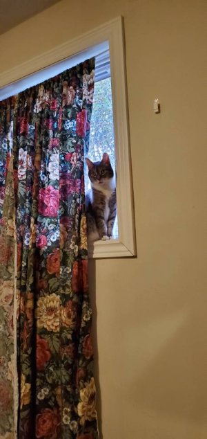 20200903_184315.jpeg