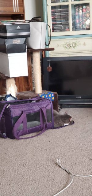 20200720_191905.jpeg