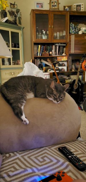 20200720_214010.jpeg