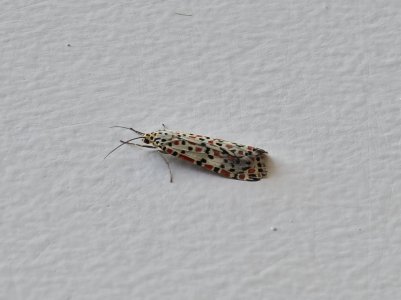 20200906_113755.jpg