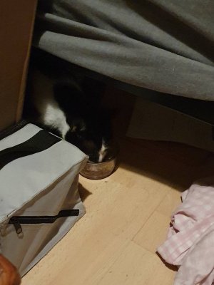 20200930_195121.jpeg