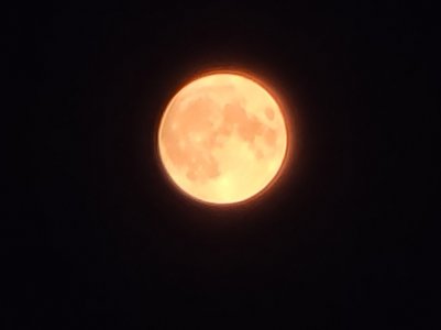 20201001_061654.jpg