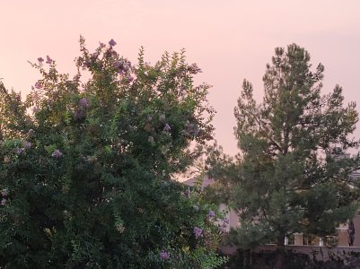 20200906_180703.jpg
