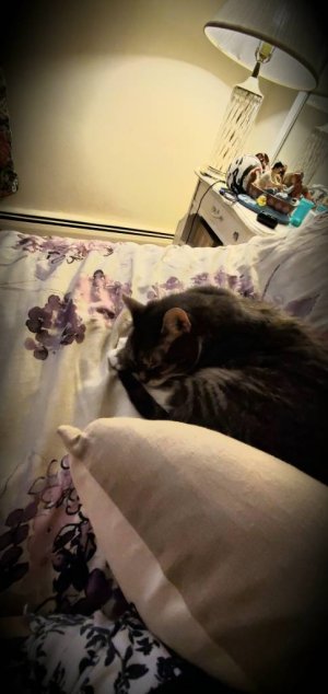 20201002_223659.jpeg