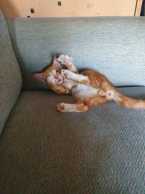 20200908_180745.jpeg