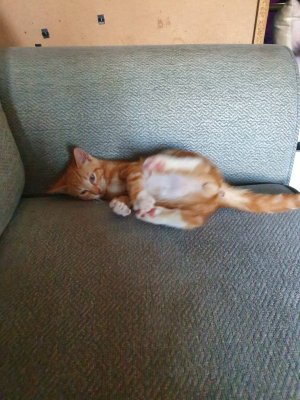 20200908_180743.jpeg
