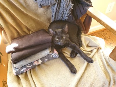 20201002_143634.jpg