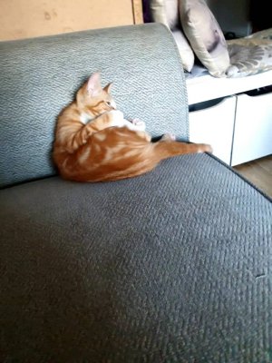 20200908_180743_capture(0).jpg