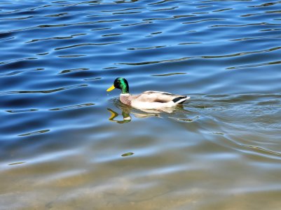 20200926_112902.jpg