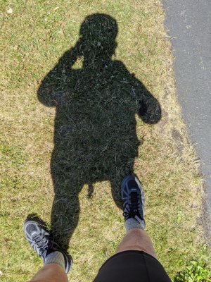 IMG_20200725_125446.jpg