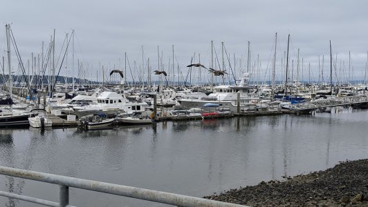 IMG_20200728_091428c.jpg