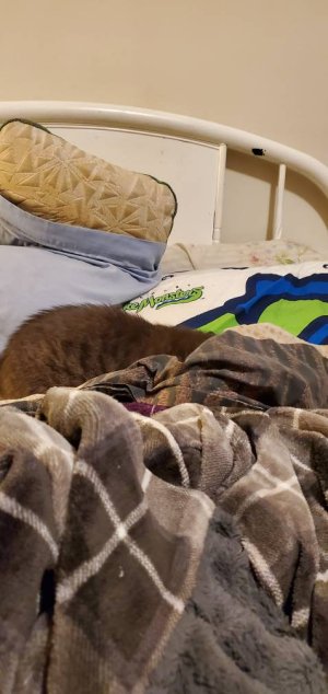 20200909_215209.jpeg