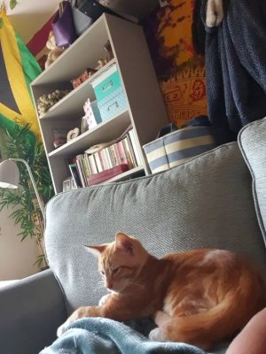 20201005_163021.jpeg