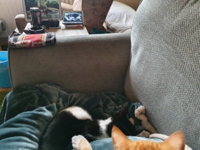 20201005_162914.jpeg