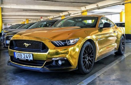 Gold-Mustang.jpeg