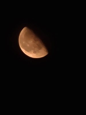 20200908_233340.jpg