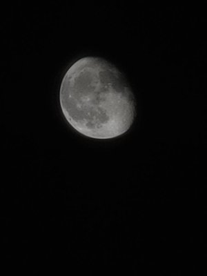 20200906_000926.jpg