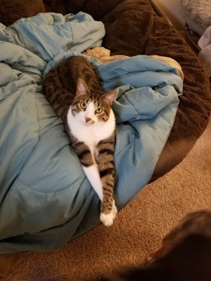 20180422_221515.jpg
