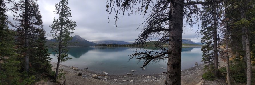 20200930_111156.jpg