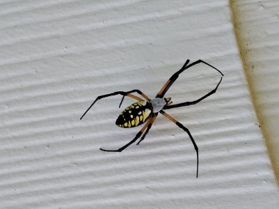 20201006_123559.jpg