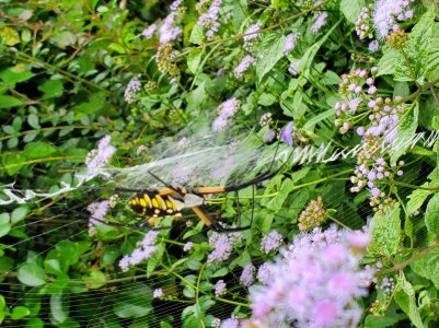 20201006_102339.jpg