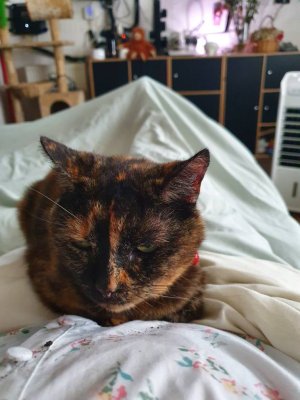 20200802_085131.jpeg