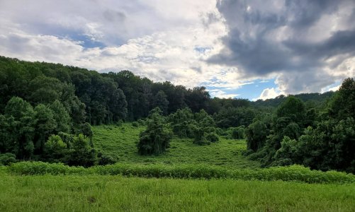 20200802_065656.jpg