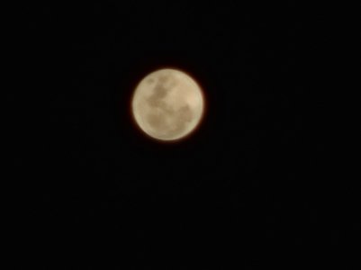 20200803_212354.jpg