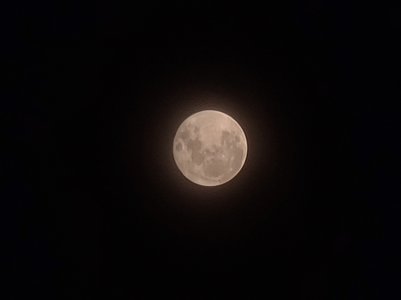 20200804_193355.jpg