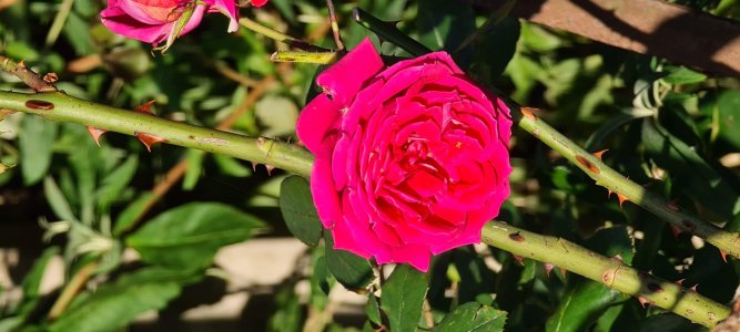 20200914_173103.jpg