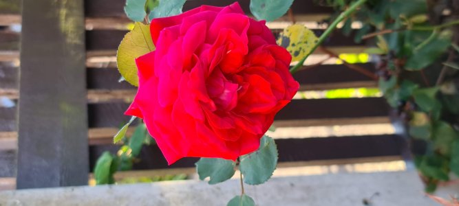 20200914_173818.jpg