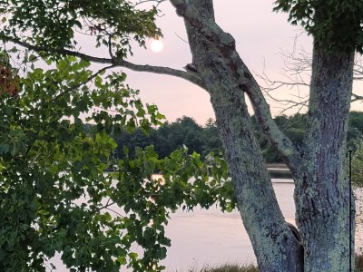 20200914_181922.jpg